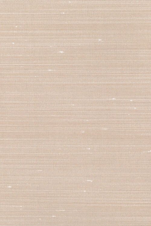 FARBEN & TAPETEN - Tapete Drusilla Wall by Dedar