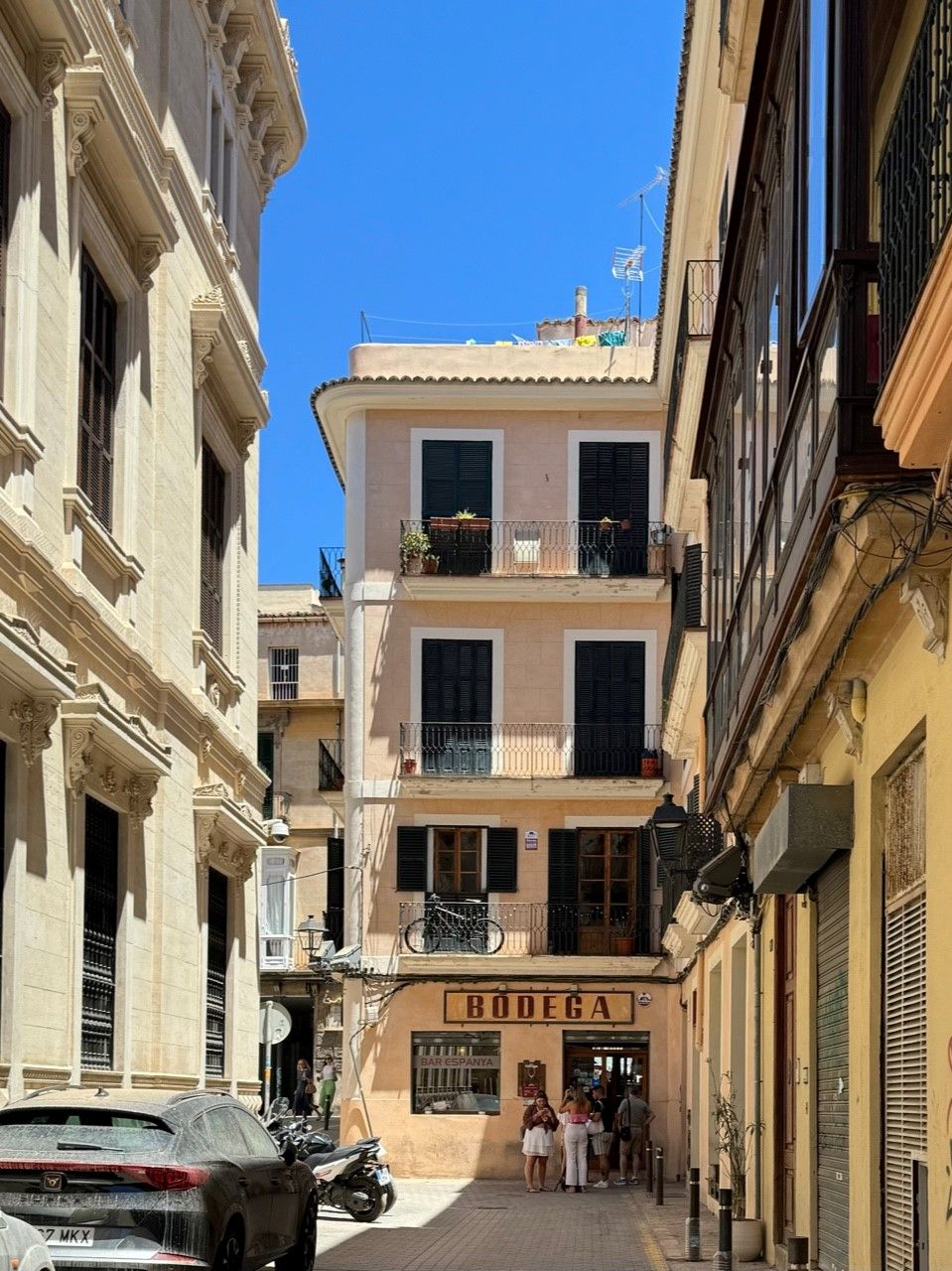 Artsy Palma - Alexandra Goldfuss